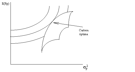 Cartera Optima